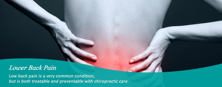 https://www.alexanderchiropractic.com/wp-content/uploads/2013/02/slide-lowerback.jpg